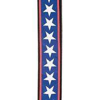 D'Addario 50A10 gitaarband Stars & Stripes - thumbnail