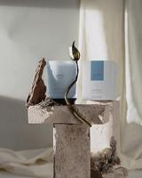 IPuro geurkaars balance 270gr - thumbnail