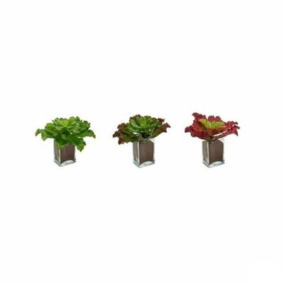 Decoratieve plant Lakens Groot Tweekleurig Plastic 31 x 24 x 31 cm (6 Stuks)