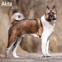 Akita Calendar 2026 Square Dog Breed Wall Calendar - 16 Month - thumbnail