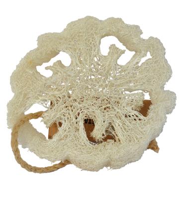 Aleppo Soap Co Natuurspons Aleppo Soap Co Natuurspons