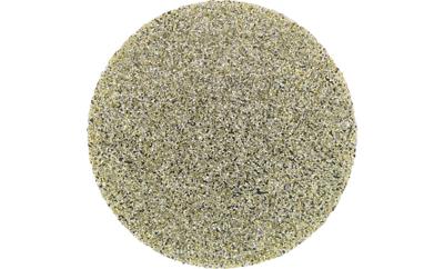 PFERD TOOLS CD DIA 38 D 251 - P 60 42740004 Schuurblad Korrelgrootte (num) 251 (Ø) 38 mm 10 stuk(s)