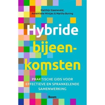 Hybride bijeenkomsten (Paperback)