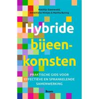 Hybride bijeenkomsten (Paperback) - thumbnail