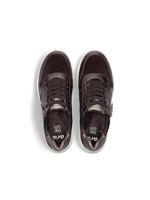 Ara 1227540 - alle - thumbnail