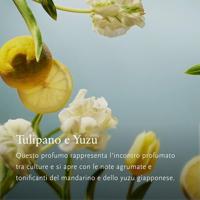 Rituals Amsterdam Collection Set 250ml Dames Giftset - thumbnail