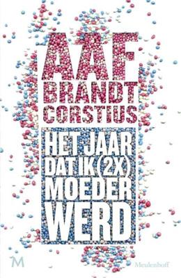 Het jaar dat ik (2x) keer moeder werd (Paperback)