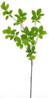 Spring leaf spray green 128cm - thumbnail