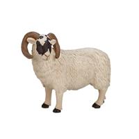 Mojo farmland zwartkopschaap ram 387081 - thumbnail