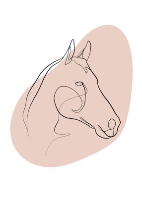 Poster - Line art. Hoofd van een Paard, wit/roze, Premium print