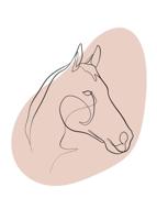 Poster - Line art. Hoofd van een Paard, wit/roze, Premium print - thumbnail