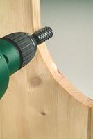 Bosch Accessories 2609255298 Houtrasp, cilindrisch 1 stuk(s) - thumbnail