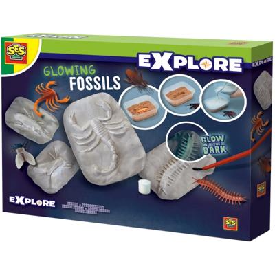 SES Glowing fossils SES Glowing fossils