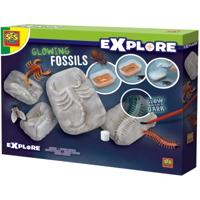 SES Glowing fossils - thumbnail