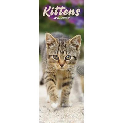 Kittens Slim Calendar 2026 Cute Slimline Calendar - 12 Month