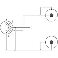 SpeaKa Professional SP-7869832 Cinch / DIN-aansluiting Audio Y-adapter [1x DIN-bus 5-polig - 2x Cinch-stekker] Zwart - thumbnail