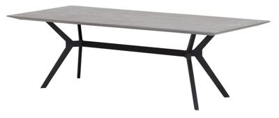 DTP Home Eettafel 'Novi' Mortex, 250 x 95cm, kleur Grijs DTP Home Eettafel 'Novi' Mortex, 250 x 95cm, kleur Grijs