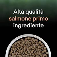 Pro Plan LiveClear Sterilised Adult met zalm kattenvoer 2 x 1,4 kg - thumbnail