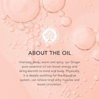 Tisserand Ginger gember organic bio 9 Milliliter - thumbnail