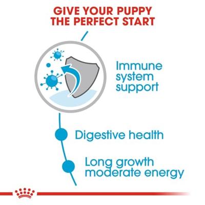 Royal Canin Maxi Puppy hondenvoer Natvoer (10x140g) - thumbnail