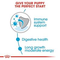 Royal Canin Maxi Puppy natvoer hond (in saus) 1 doos (10 x 140 g) - thumbnail
