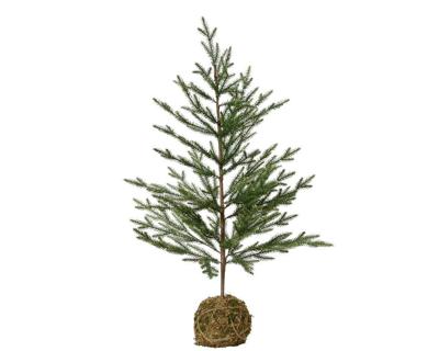 Moss ball mini boom d65h120 cm groen I Everlands - Everlands
