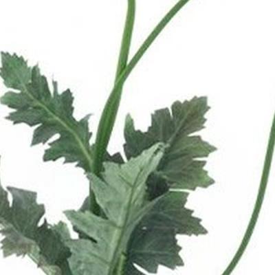 Poppy spray Casper cream 93 cm kunstbloem Erutan Avon - Erutan avon