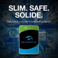 Seagate SkyHawk AI 10 TB Harde schijf ST10000VE0008, SATA/600 - thumbnail