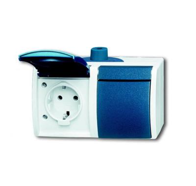 Wandcontactdoos met klapdeksel 2-voudig hor. randaarde grijs/blauwgroen