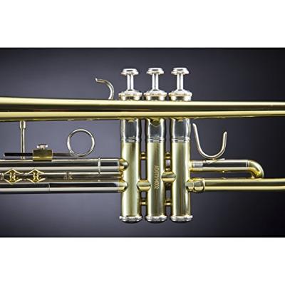 Vincent Bach TR501 Bb trompet 122.24 mm (gelakt) met tas