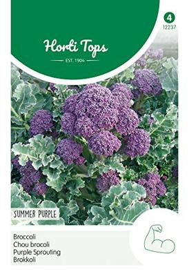 Zaden Broccoli Summer Purple Hortitops - Hortitops