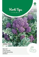 Zaden Broccoli Summer Purple Hortitops - Hortitops - thumbnail