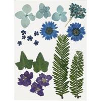 Creativ Company Gedroogde bloemen en bladeren blauw, 19dlg. - thumbnail