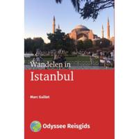 Wandelen in Istanbul (Paperback) - thumbnail