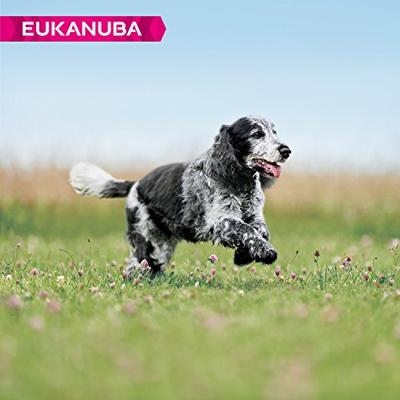 Eukanuba Dog Caring Senior Medium 12 kg