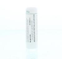 Homeoden Heel Argentum metallicum D30 6 Gram - thumbnail