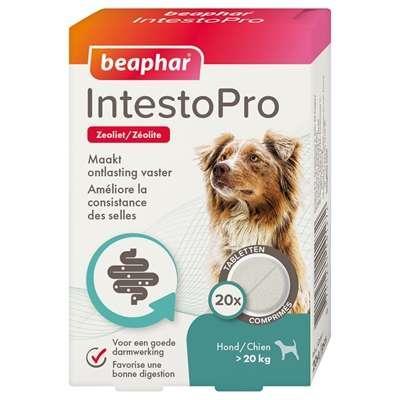 BEAPHAR INTESTOPRO HOND >20 KG 20 TBL BEAPHAR INTESTOPRO HOND >20 KG 20 TBL