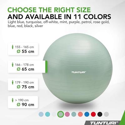 Tunturi Anti Burst Fitness bal met Pomp | Yoga bal 65 cm | 220 kg gebruikersgewicht | Incl Trainingsapp | Mint