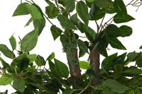 Boomstructuur Home ESPRIT Polyester Hout 80 x 80 x 180 cm - thumbnail