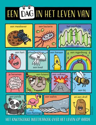 Deltas Een dag in het leven van...