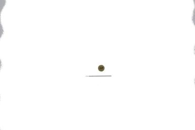 Diesel Kroon + Stift DZ4344 / Mega Chief