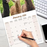 Alpaca Kalender 2026 - thumbnail