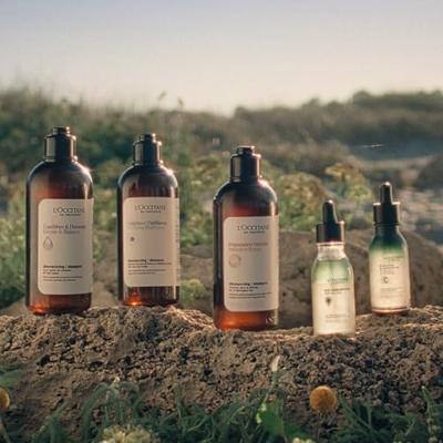 L'Occitane Essential Oils Gentle Conditioner 250ml