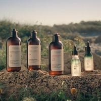 L'Occitane Essential Oils Gentle Conditioner 250ml - thumbnail