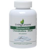Glucosamine chondroitine MSM - thumbnail