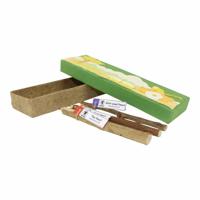 Potlooddoos Donkergroen - thumbnail