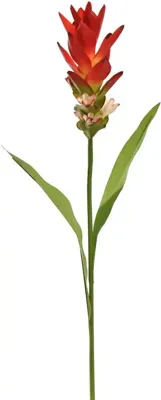 Pure Royal kunsttak gemberlelie 70cm rood