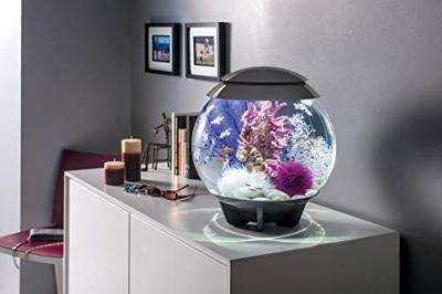 BiOrb zeewier set medium paars aquarium decoratie