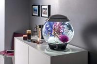 BiOrb zeewier set medium paars aquarium decoratie - thumbnail