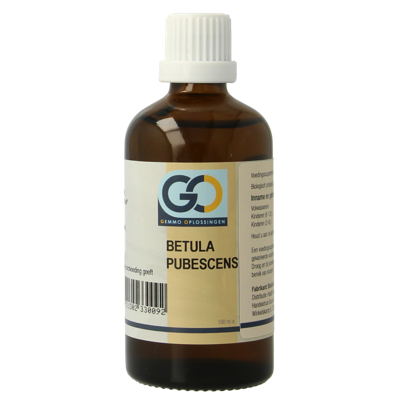 Betula pubescens bio 100 Milliliter